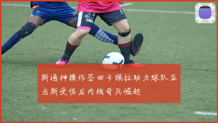 斯通神操作签回卡佩拉助力球队亚当斯受伤后内线奇兵崛起