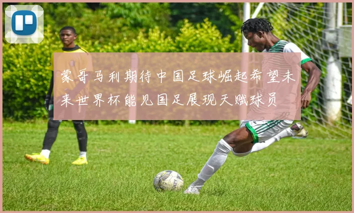 蒙哥马利期待中国足球崛起希望未来世界杯能见国足展现天赋球员